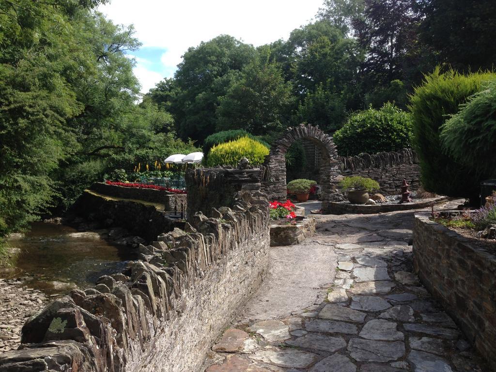 The Old Mill House Bed and Breakfast Padstow Δωμάτιο φωτογραφία